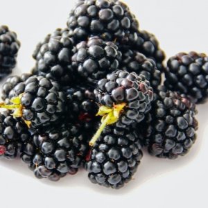 Blackberries