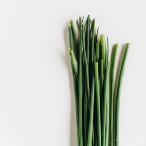 Chives