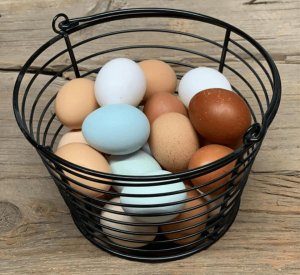 Farm Fresh Eggs - Dozen