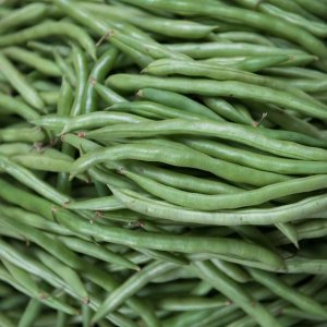 Beans - Green