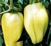 Pepper (Hot) - Medium Hot Block