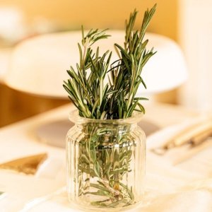 Rosemary