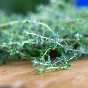 Thyme
